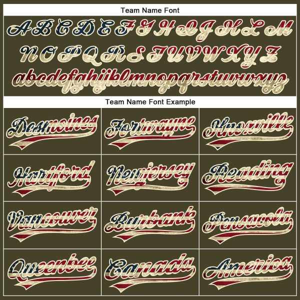 Custom Olive Vintage USA Flag-Cream Performance Vapor Salute To Service Golf Polo Shirt - Image 5